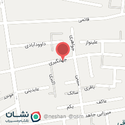 عکس شرکت نیکسون جت