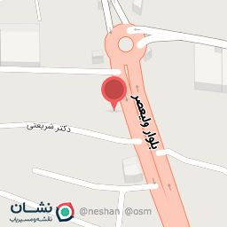 عکس پیتزا ساندویچ پایتخت