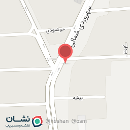 عکس پیتزا تینو