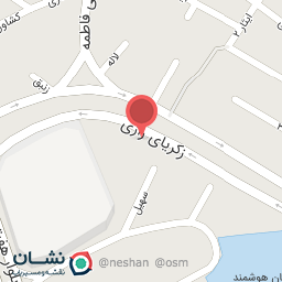 عکس شرکت چشم هوشمند ماشین 