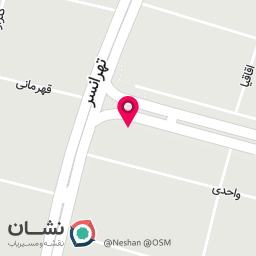 عکس پیتزا موناد