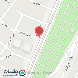 عکس نخل خرمشهر