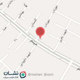 عکس پیتزا اسنگ