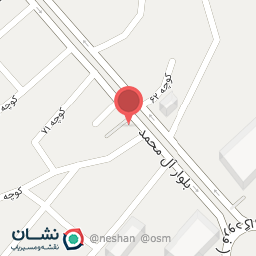 عکس فلافل سید