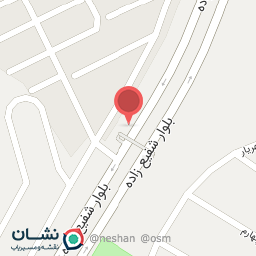 عکس شفیع زاده 