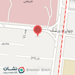 عکس دکتر نسیبه حسنی