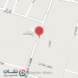 عکس لبنیاتی امیرعلی