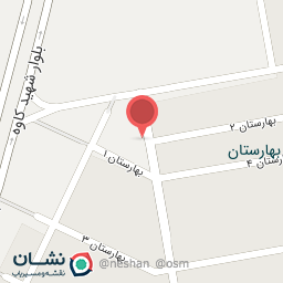 عکس بالون شاپ