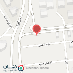 عکس پیتزا کافه آرینا