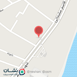 عکس لوکس و تزئینات ماشین بردیا