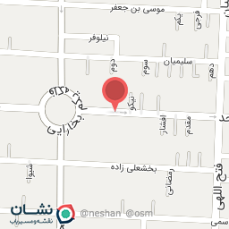 عکس فروشگاه ریتیل اسنوا