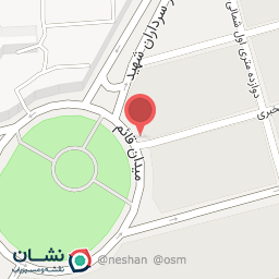 عکس مرغ ذغالی توراج