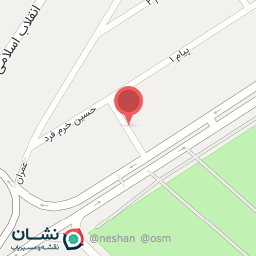 عکس فست فود نوین برگر