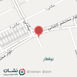 عکس شعبانی فرد