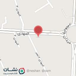 عکس مرغ و ماهی شامی