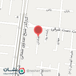 عکس دکتر فرزانه فروزان فر