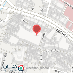 عکس کیف و کفش ملکه