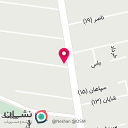 عکس کیف آلوین 