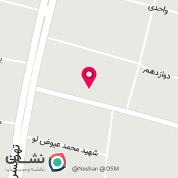 عکس گالری طلای اوجانی