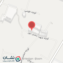 عکس کفش چاپلین