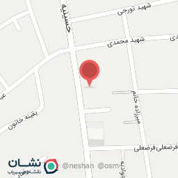 عکس تولیدی کیف گلابی