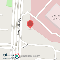 عکس پیتزا زارا