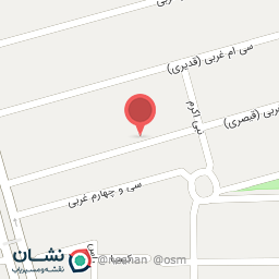 عکس تکین برگر