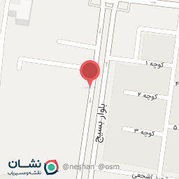 عکس کباب ترکی خانه دونر