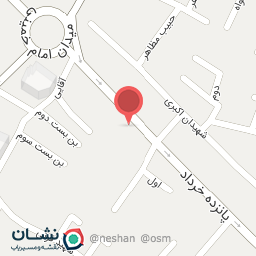 عکس کیف و کفش پاورچین 