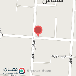 عکس الکتریکی نیک روان