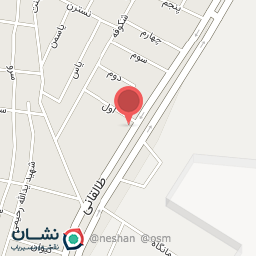 عکس ساندویچی چهار فصل