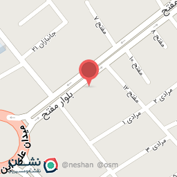 عکس پیتزا جزیره