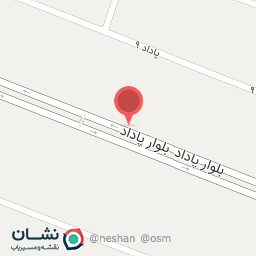 عکس پیتزا جوان