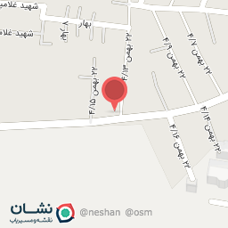 عکس  22بهمن 4/15