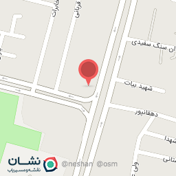 عکس پیتزا پانیذ