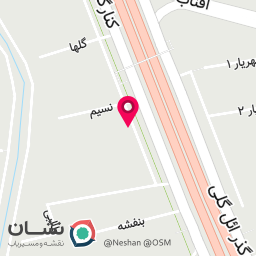 عکس آجیل و خشکبار وزرا
