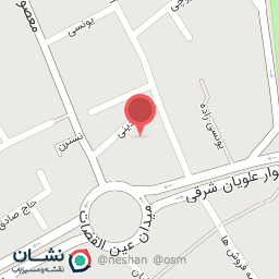 عکس تولید و پخش کفش زنانه شیک پوشان