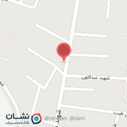 عکس اتو سرویس علی