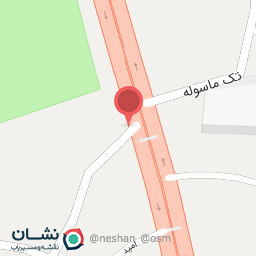 عکس پلا کباب معین