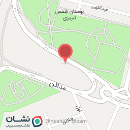 عکس مکانیکی 