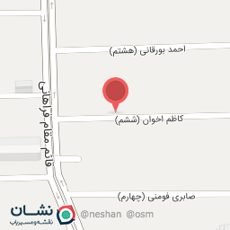 عکس دکتر محمد باقر سبط الشیخ