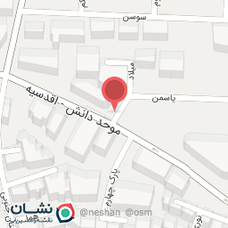 عکس مستر برگر