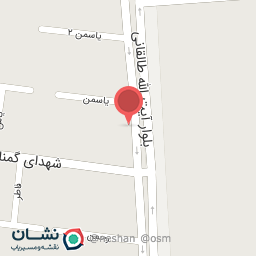 عکس عطاری بهار نارنج