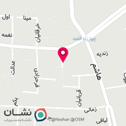 عکس تهیه غذای سی تو