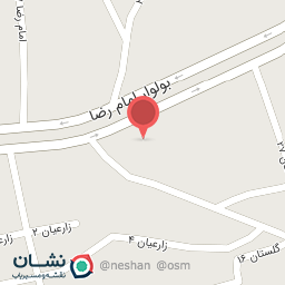 عکس شاندیز برگر