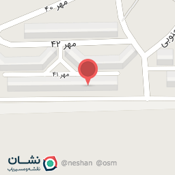 عکس گل نرگس 8