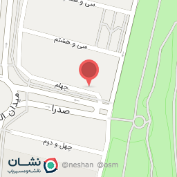 عکس پیتزا المپیک