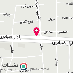 عکس پاراد کیک