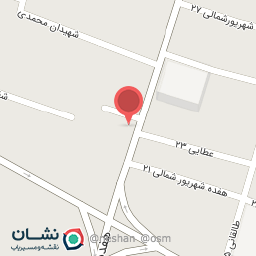 عکس کفش پاشیکا