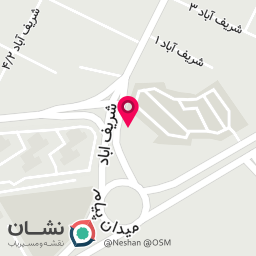 عکس تزیینات اتومبیل طنین